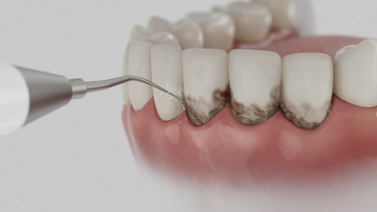 Reliable Dental contractor in Lakeview, MI by Dentist Open Now